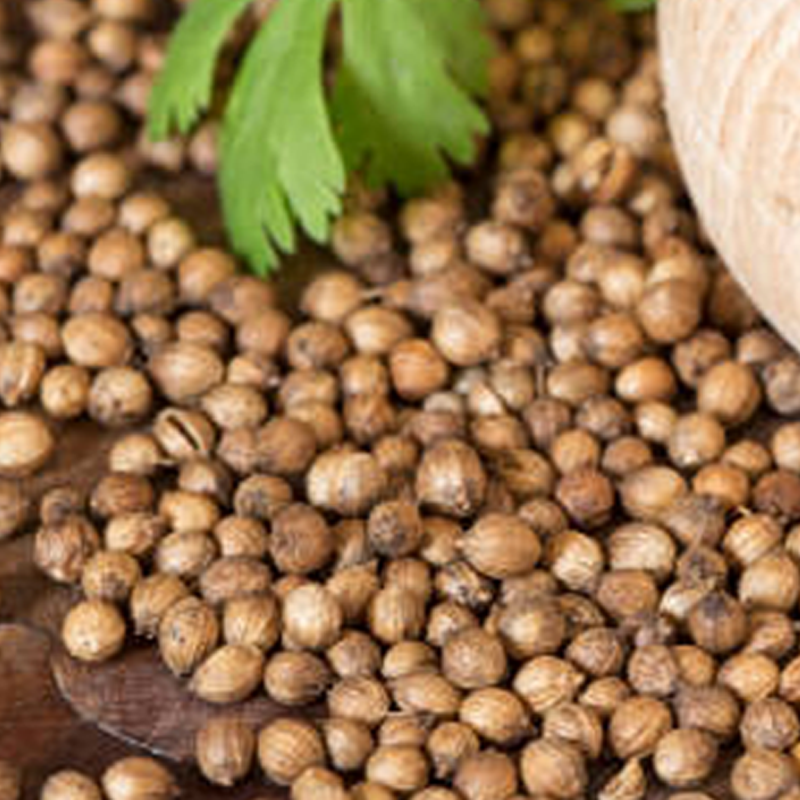 Coriander Seeds